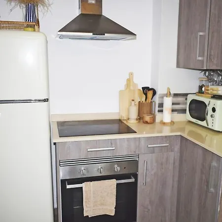 Palmar & C0 데니아