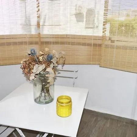 Apartment Palmar & C0