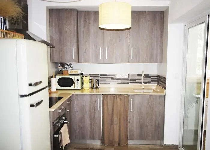 Palmar & C0 데니아