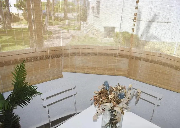 Palmar & C0 דירה דניה